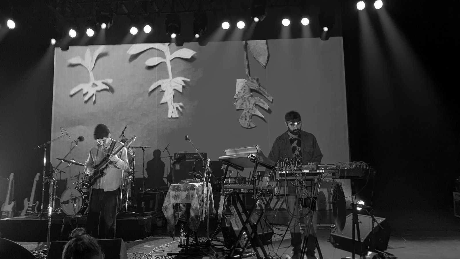 Relearn This Album, Animal Collective Brings Feels to Queens